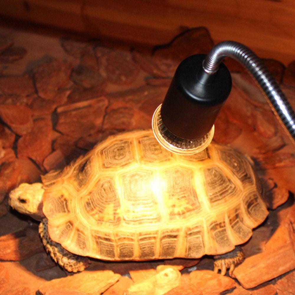 25/50W Reptile Heat Lamp Turtle Tortoise Pet Basking UV Full Spectrum Bulbs Crawler Heating Lamp Amphibians Temperature Control QYMHOODS
