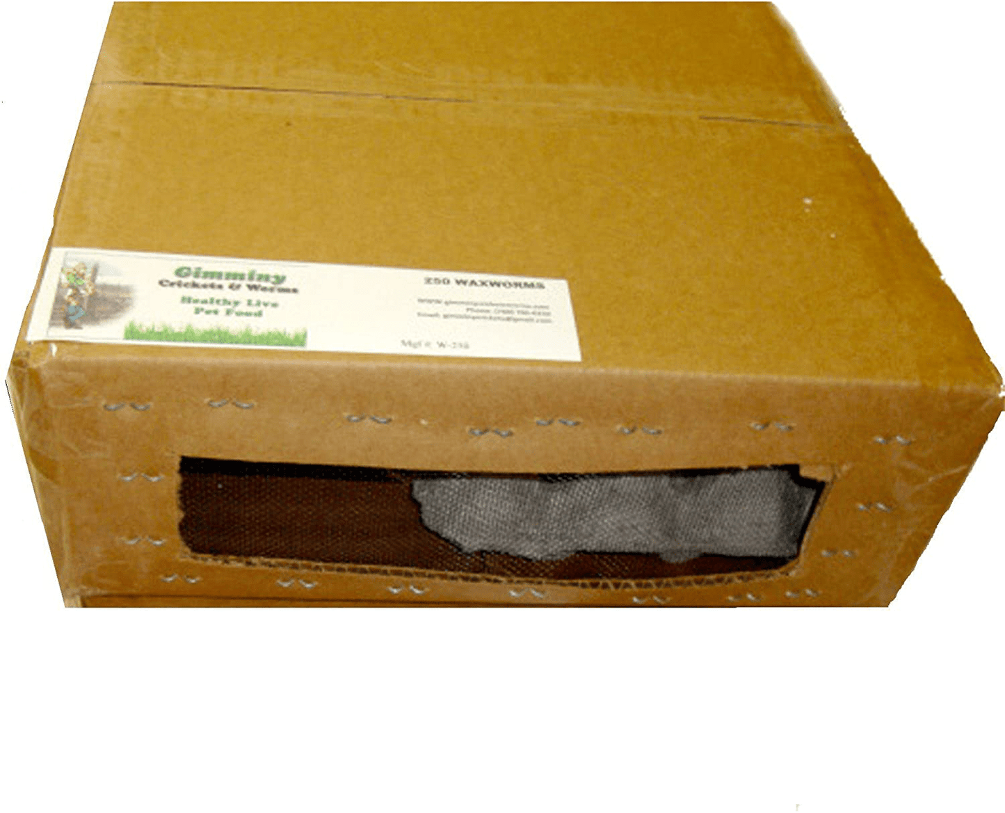 250Ct Live Superworms, Feed Reptile, Birds, Fishing Best Bait Animals & Pet Supplies > Pet Supplies > Reptile & Amphibian Supplies > Reptile & Amphibian Food BASSETT'S CRICKET RANCH