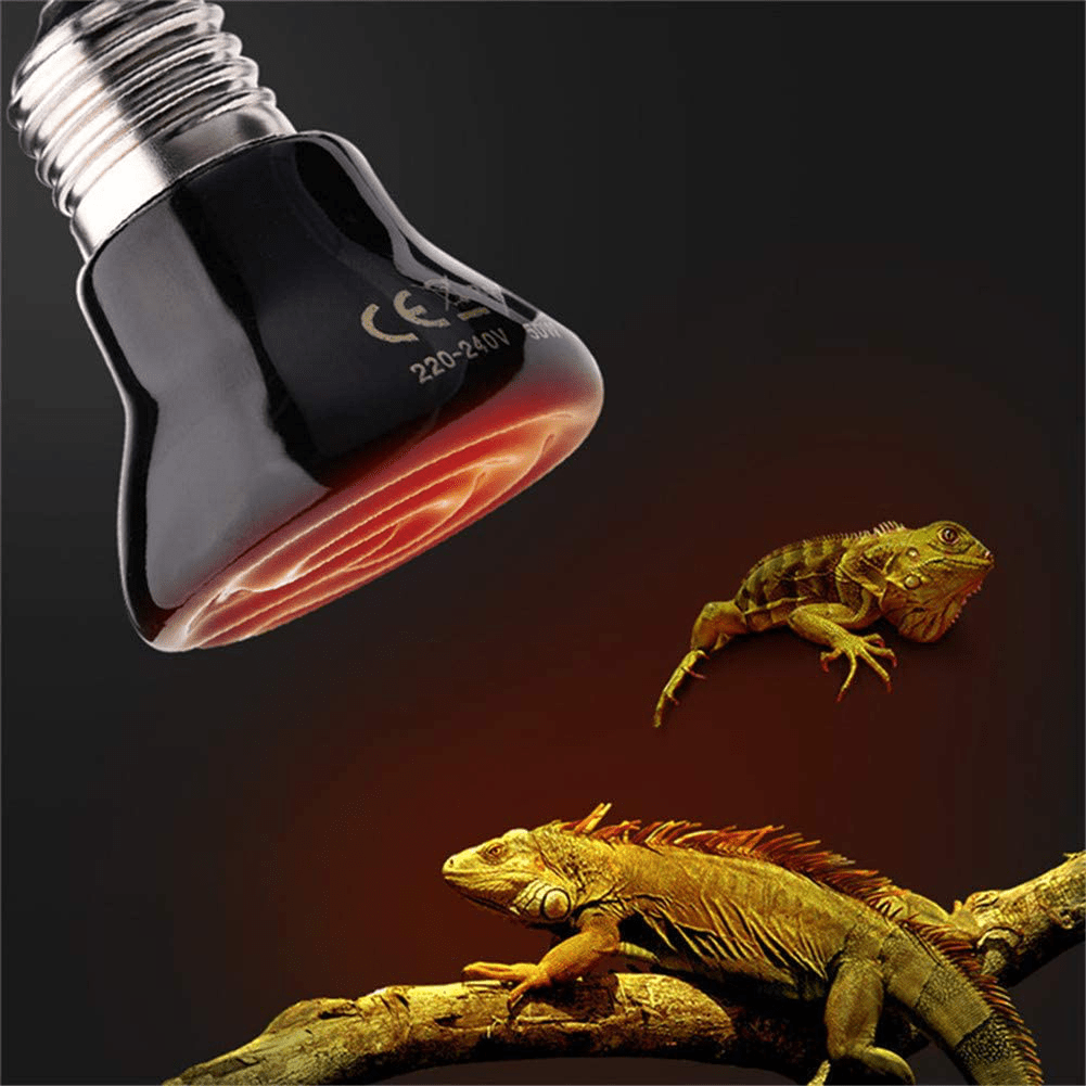 250W Reptile Heat Lamp Pet Infrared Ceramic Heater Emitter Appliances Lamp Animals & Pet Supplies > Pet Supplies > Reptile & Amphibian Supplies > Reptile & Amphibian Habitat Heating & Lighting Forfuture-go