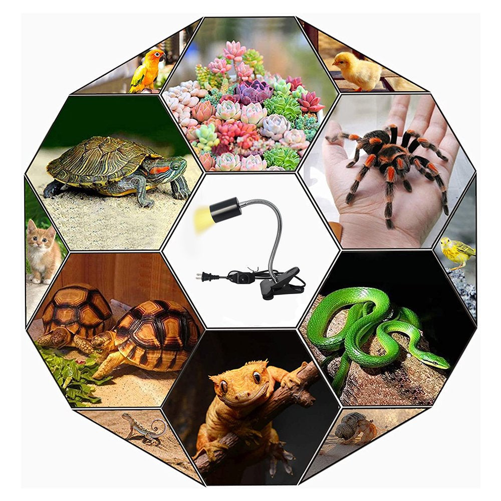 Heat Lamp for Reptiles Turtle,Clamp Lamp Holder with Halogen Bulb,Heating Lamp for Reptile and Amphibian Habitat Basking Animals & Pet Supplies > Pet Supplies > Reptile & Amphibian Supplies > Reptile & Amphibian Habitats Peralng