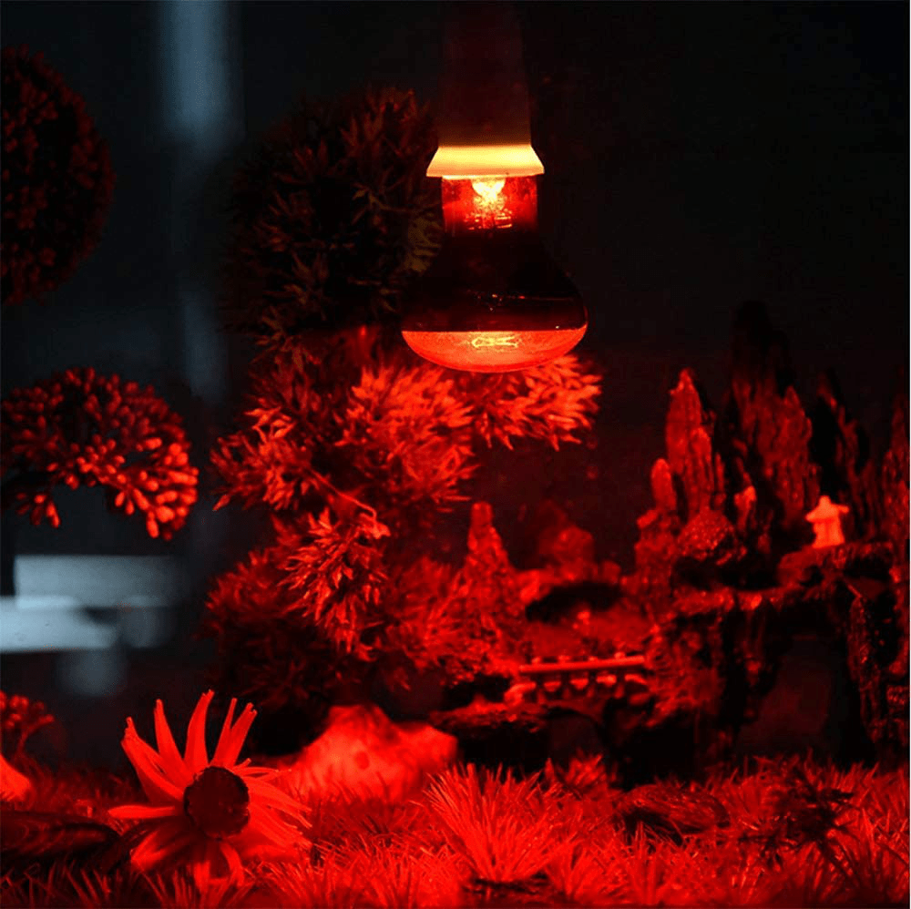 25W Infrared Heating Lamp/Light/Bulb 2 Pack, 110V E27 Basking Spot Light Bulbs for Reptile and Amphibian, as Bearded Dragons, Turtles, Ball Pythons, Red Animals & Pet Supplies > Pet Supplies > Reptile & Amphibian Supplies > Reptile & Amphibian Habitat Heating & Lighting MaoTopCom