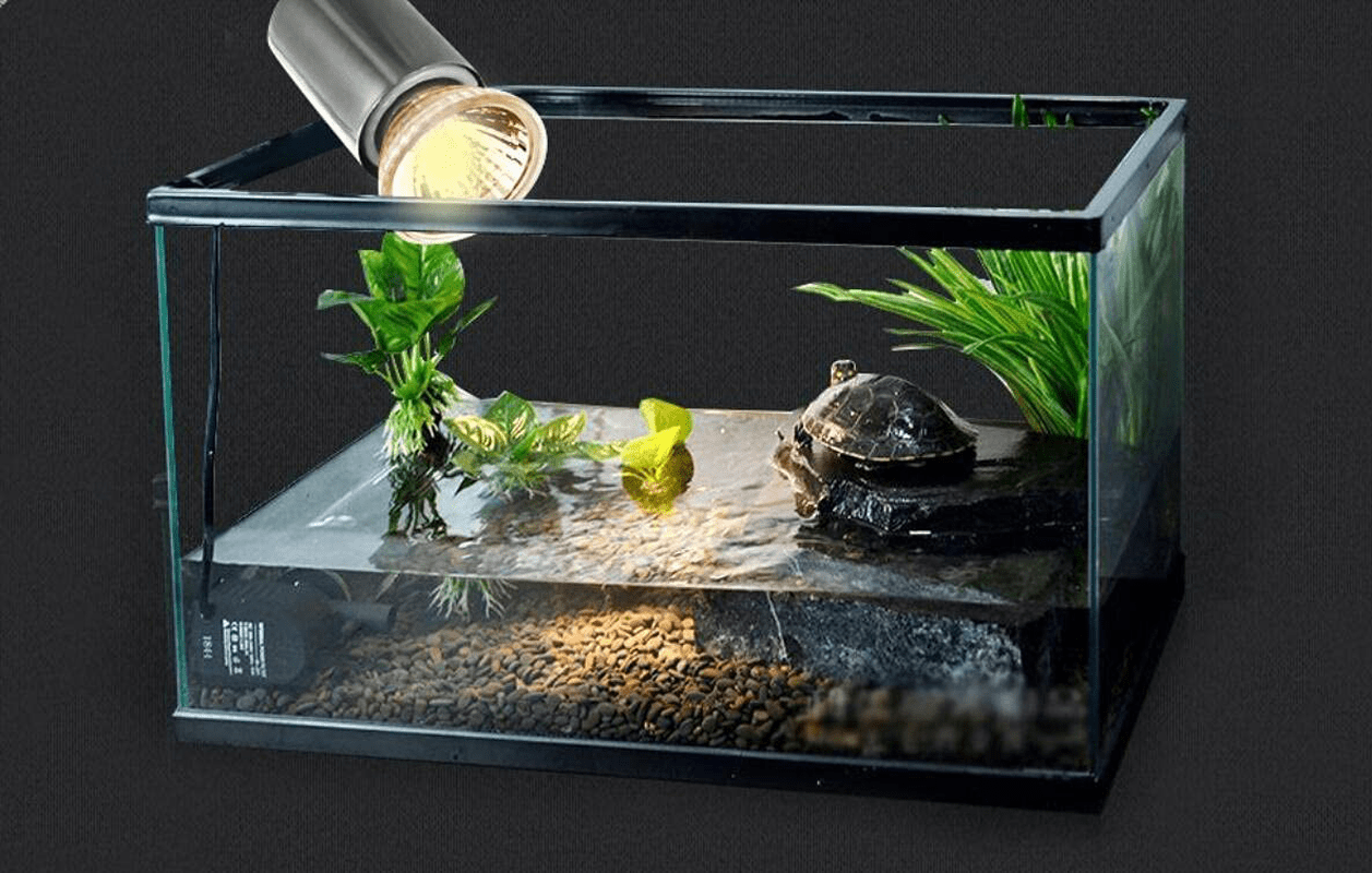 25W UVA UVB Reptile Light 25 Watt UVB Light UVA Bulb Halogen Basking Bulb Full Spectrum Reptilian Lamp Lizard Lamps for Turtle Aquarium Aquatic Reptile Lizard Habitat,E27/E26 Base,110V,6 Pack Animals & Pet Supplies > Pet Supplies > Reptile & Amphibian Supplies > Reptile & Amphibian Habitat Heating & Lighting CTKcom