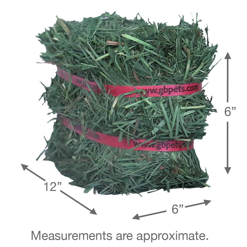 Grandpa'S Best Orchard Grass Hay Mini Bale for Small Animals - 5Lb Animals & Pet Supplies > Pet Supplies > Small Animal Supplies > Small Animal Food Grandpa's Best LLC
