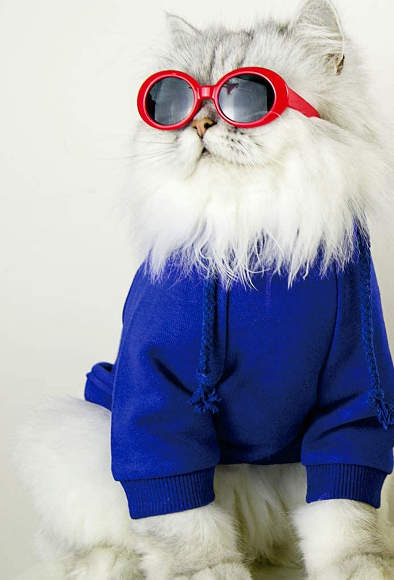 Retro Oval Small Dogs Cats Eye Wear Party Favors Pet Sunglasses Set Cute Funny Cosplay Dolls Costume Photo Props Animals & Pet Supplies > Pet Supplies > Dog Supplies > Dog Apparel HO ME Fashion Jewelry CO., LTD