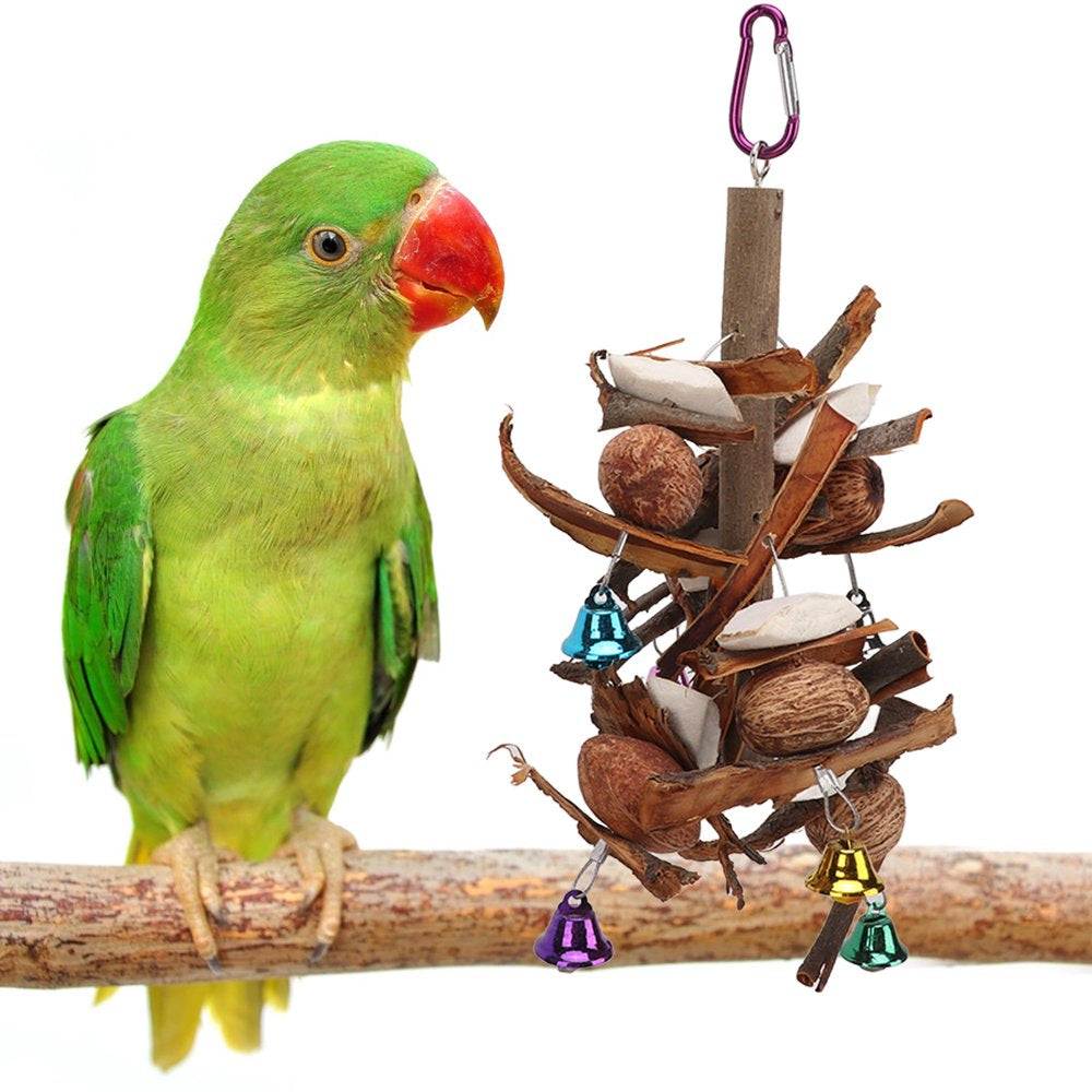 Bird Chewing Toy, Nuts Cuttlebone Free Parrots Bite Toy for Cockatiels for Parakeets Animals & Pet Supplies > Pet Supplies > Bird Supplies > Bird Toys WL