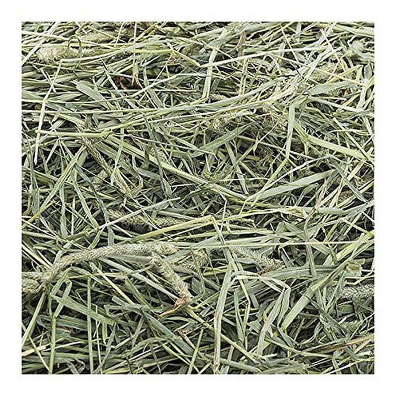 Small Pet Select 1St Cutting "High Fiber" Timothy Hay Pet Food, 5 Lb. Animals & Pet Supplies > Pet Supplies > Small Animal Supplies > Small Animal Food Small Pet Select Inc.