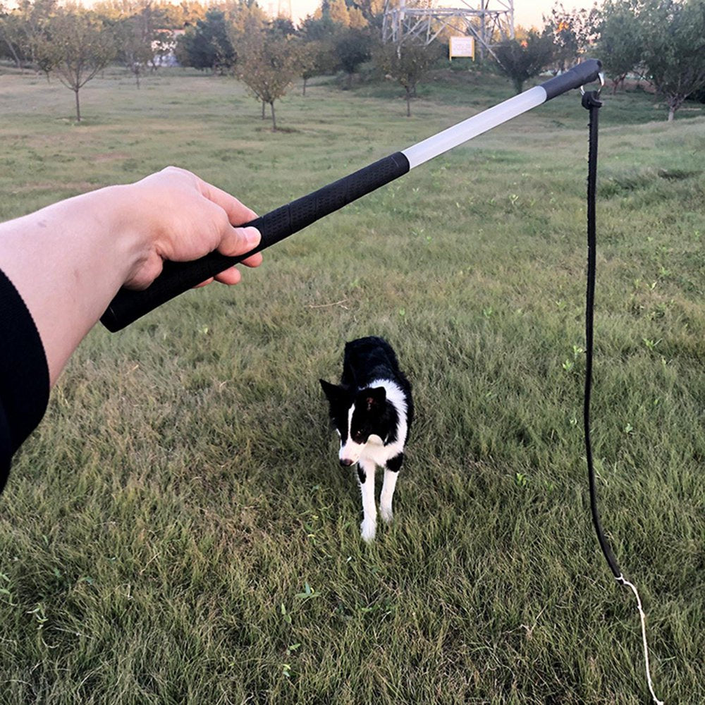 Dog Training Agitation Pet Agility Training Exercise Stick for Aggressive Pets Animals & Pet Supplies > Pet Supplies > Dog Supplies > Dog Treadmills Magideal