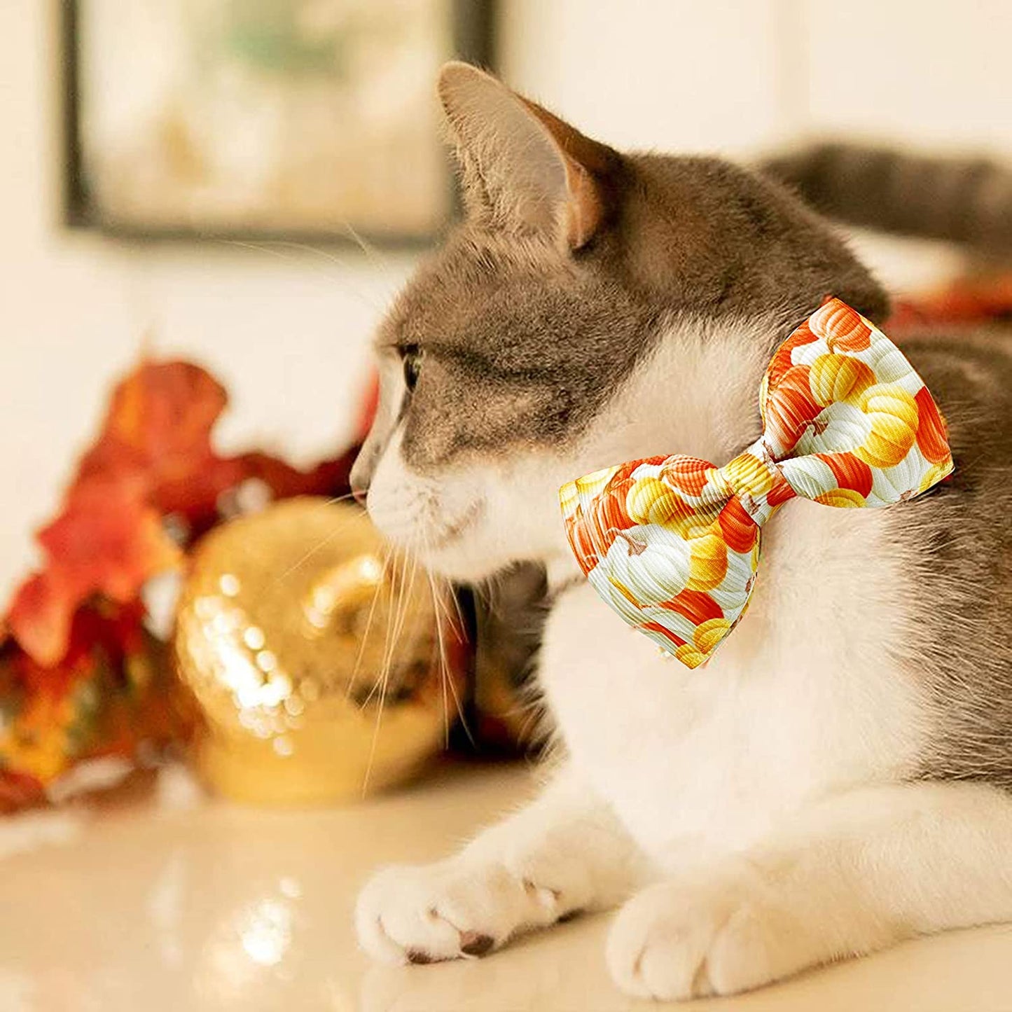 Thanksgiving Fall Harvest Dog Collar with Bow Tie, Holiday Turkey and Pumpkin Collar for Small Medium Large Dogs Pets Puppies (Large) Animals & Pet Supplies > Pet Supplies > Dog Supplies > Dog Apparel Pohshido