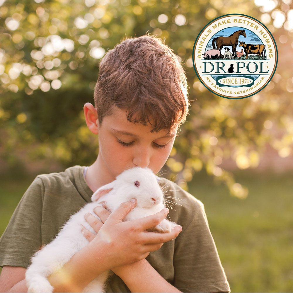 Dr. Pol Apple & Banana Flavor Crunchy Small Animal Treats, 3 Oz. Bag Animals & Pet Supplies > Pet Supplies > Small Animal Supplies > Small Animal Food Consumers Supply Distributing, LLC