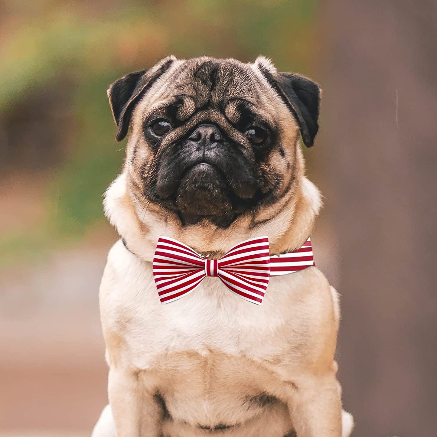 Wondrella Red Striped Printed Leather Dog Collar-Adorable Girl and Boy Dog Collar, Adjustable Bowtie Dog Collars with Metal Buckle for Medium Dogs Animals & Pet Supplies > Pet Supplies > Dog Supplies > Dog Apparel Wondrella