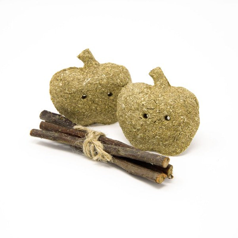 Oxbow Enriched Life Timothy Apples and Stix for Small Animals Animals & Pet Supplies > Pet Supplies > Small Animal Supplies > Small Animal Food Oxbow