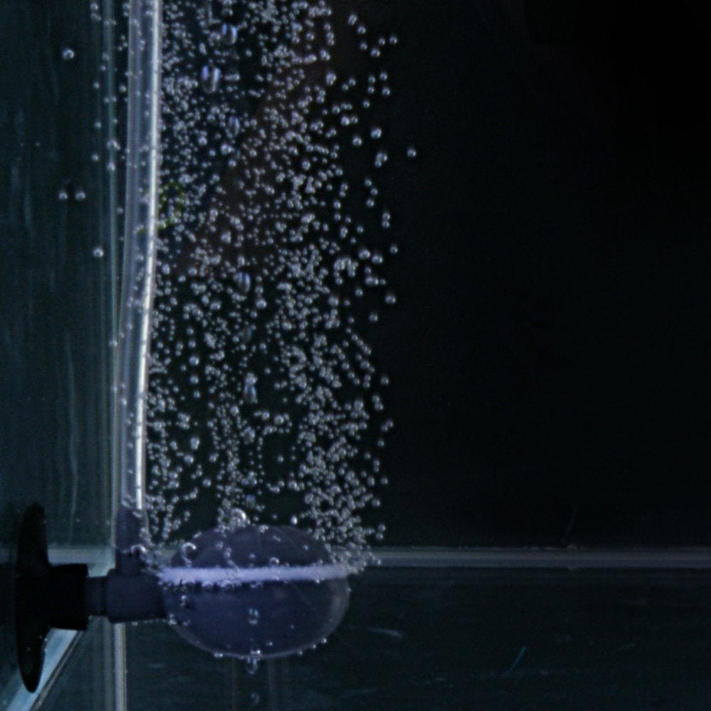 2Pcs of One Set Aquarium Air Bubble Stone round Oxygen Diffuser Curtain Effect Fish Tank Stone Disc Aerator Silent Bubble Generat Animals & Pet Supplies > Pet Supplies > Fish Supplies > Aquarium Air Stones & Diffusers FRCOLOR