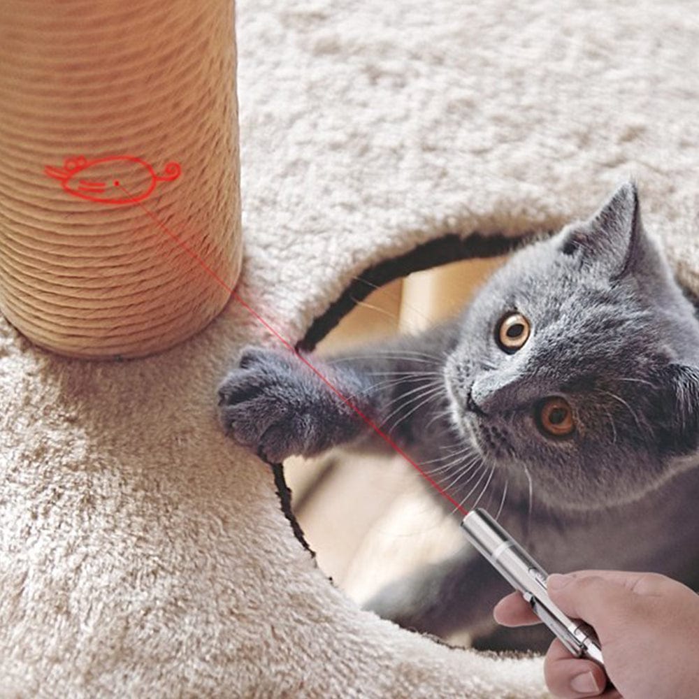 2Pcs,Pet Cat Toys USB Laser Pointer for Cats with Various Patterns, Cat Toys with Lighting Function Animals & Pet Supplies > Pet Supplies > Cat Supplies > Cat Toys shenzhenshipannizhekejiyouxiangongsi