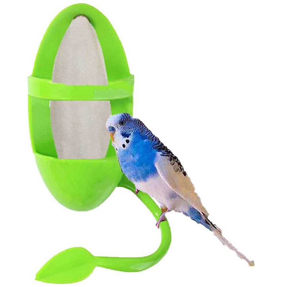 2Pcs Plastic Bird Food Holder Feeding Racks Parrot Cage Stands Bird Feeding Cup Parrots Feeder Perches for Cockatiels Parakeets Budgies Finches-Green Animals & Pet Supplies > Pet Supplies > Bird Supplies > Bird Cages & Stands ChuHeDianZi