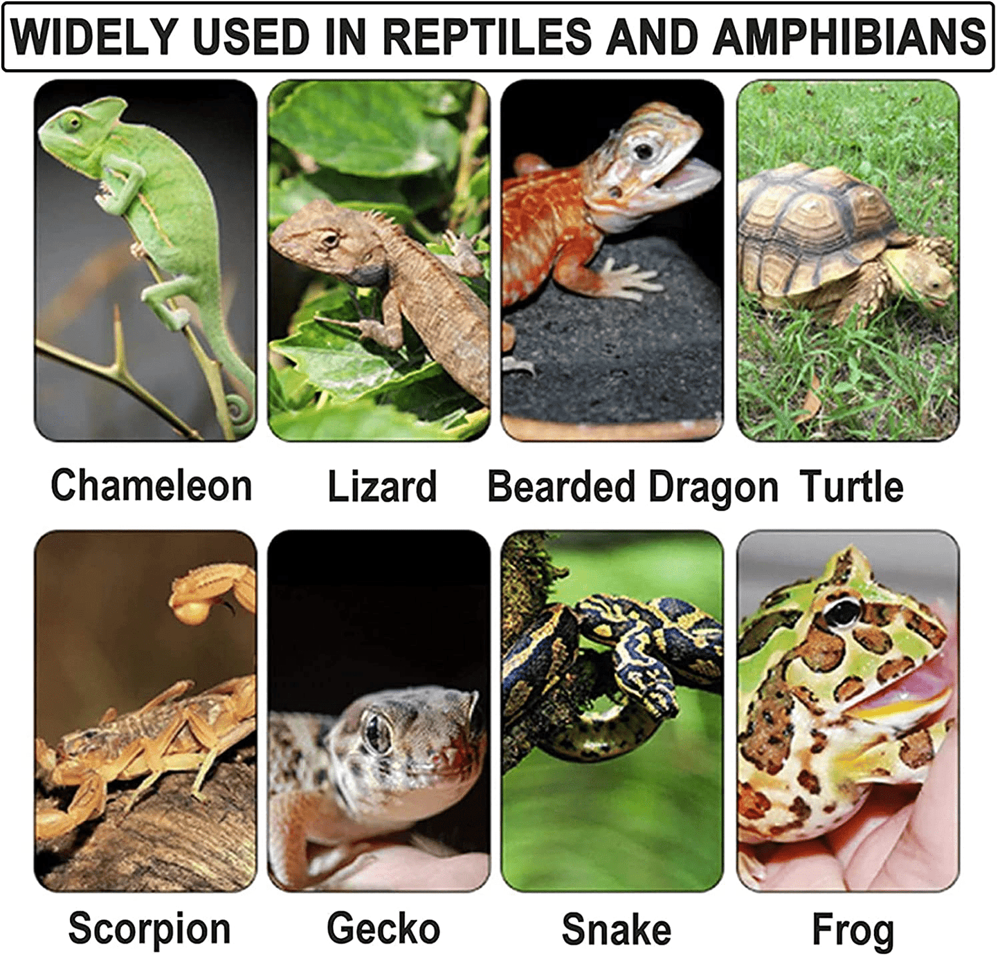 2Pcs Reptile Carpet Terrarium Bedding Substrate Liner Carpet for Lizard, Turtles, Snakes, Bearded Dragon, Iguana Supplies Mat Animals & Pet Supplies > Pet Supplies > Reptile & Amphibian Supplies > Reptile & Amphibian Substrates Tfwadmx