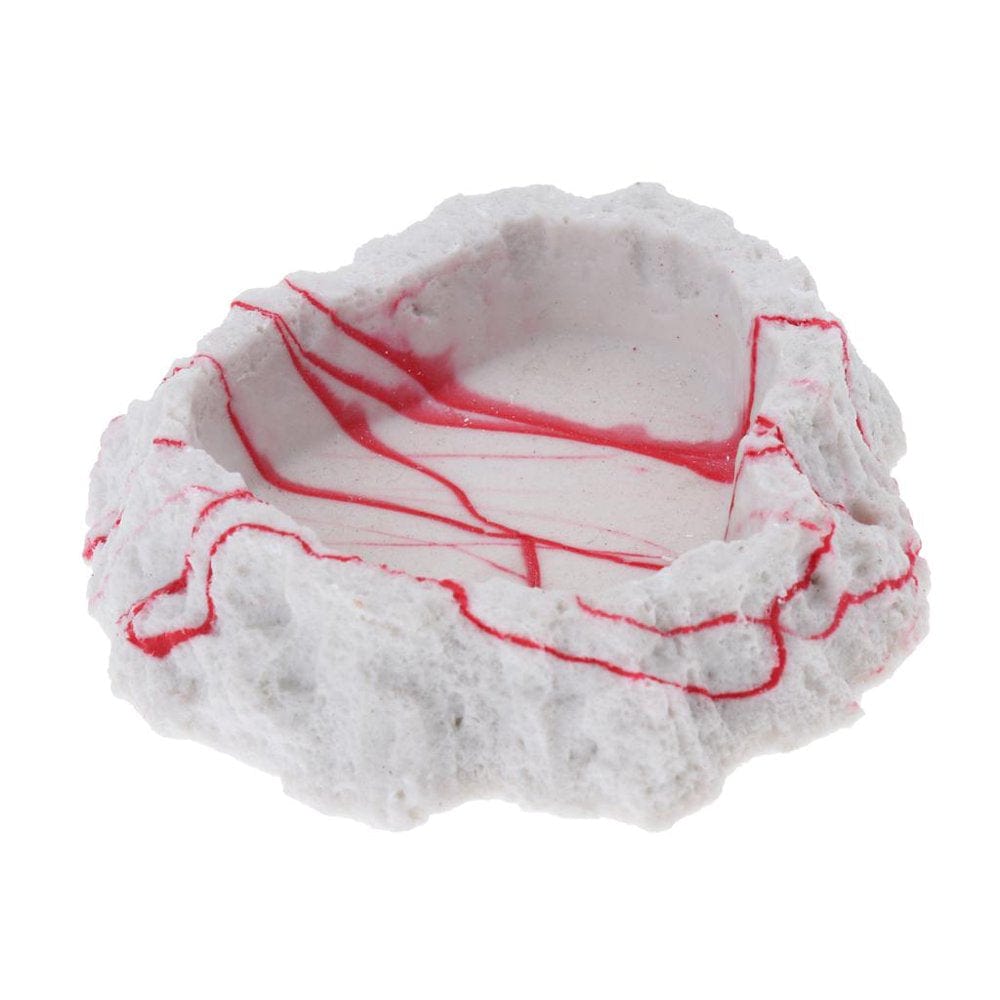 2Pcs Style Amphibians Reptile Feeding Bowl Water Drinking Dish#3 Animals & Pet Supplies > Pet Supplies > Reptile & Amphibian Supplies > Reptile & Amphibian Food HOMYL