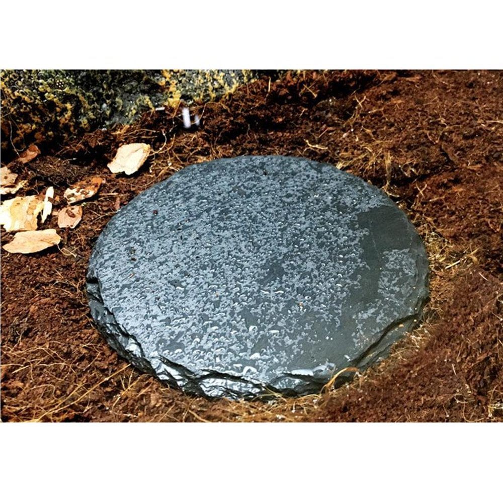 2Pcs Turtle Dish for Reptile Amphibians Food Bowl Natural Round Animals & Pet Supplies > Pet Supplies > Reptile & Amphibian Supplies > Reptile & Amphibian Food HOMYL