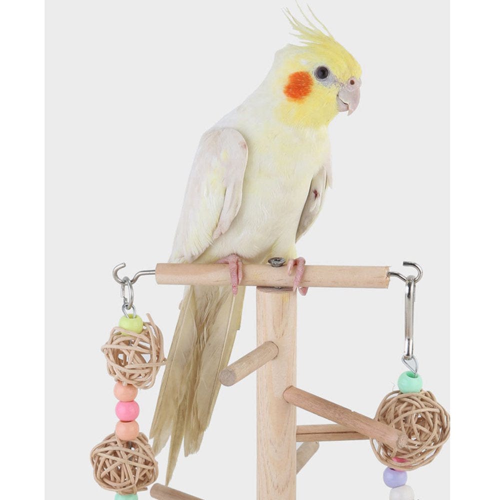 2Xparrot Playstand Perch Gym Stand Exercise for Finch Animals & Pet Supplies > Pet Supplies > Bird Supplies > Bird Gyms & Playstands Gazechimp