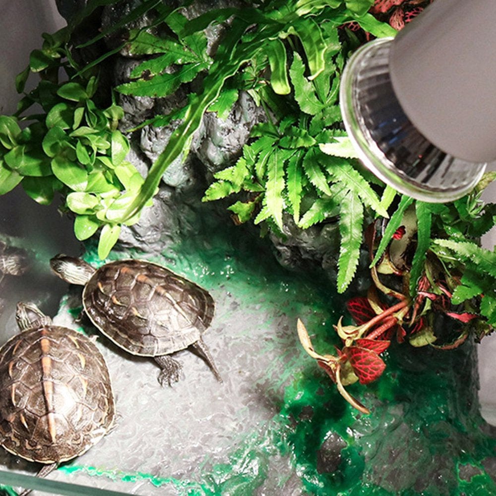 3 Pcs 50W UVA + UVB 3.0 Full Spectrum Sun Lamp Sunbathe Heat Lamp Bulb Light for Lizard Reptile and Amphibian (Silver) Animals & Pet Supplies > Pet Supplies > Reptile & Amphibian Supplies > Reptile & Amphibian Habitat Heating & Lighting NUOLUX