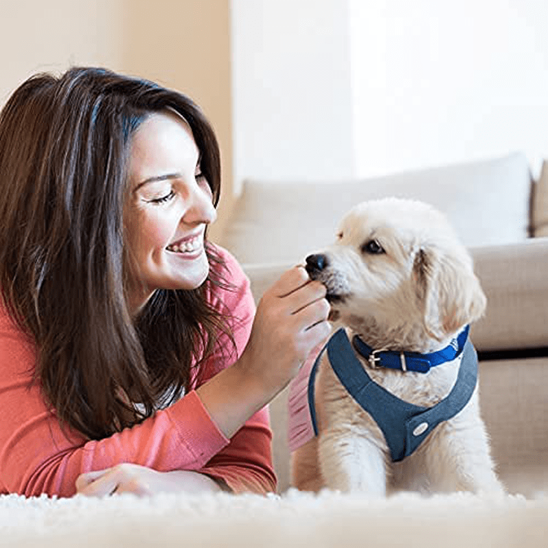 3 Pieces Dog Princess Dresses Puppy Bow Knot Dress Pet Tutu Dresses Striped Mesh Puppy Dog Princess Summer Dresses for Small Medium Cat Puppy Dog (Medium) Animals & Pet Supplies > Pet Supplies > Dog Supplies > Dog Apparel Frienda