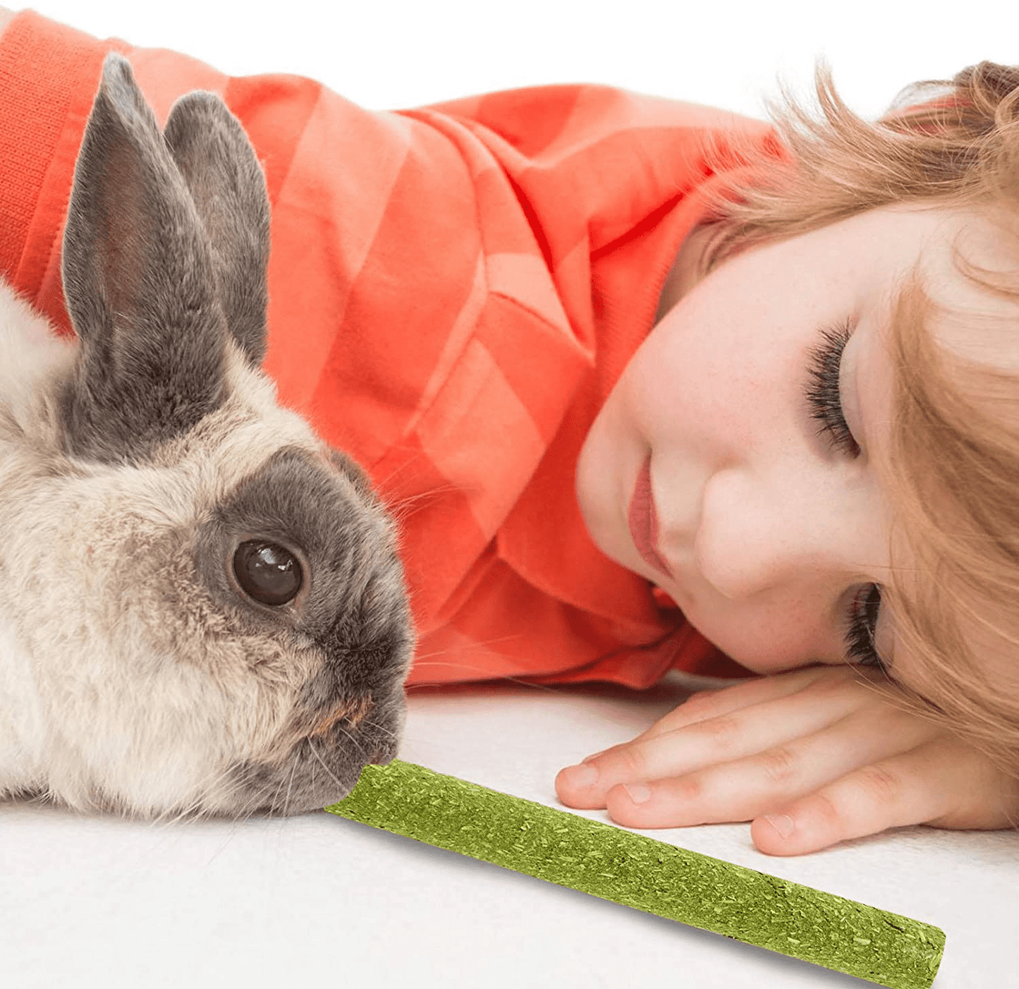 30 PCS Timothy Hay Sticks for Rabbits Guinea Pig Hamsters Chinchilla Bunny Chew Toys for Teeth Treats Accessories Animals & Pet Supplies > Pet Supplies > Small Animal Supplies > Small Animal Food N\C