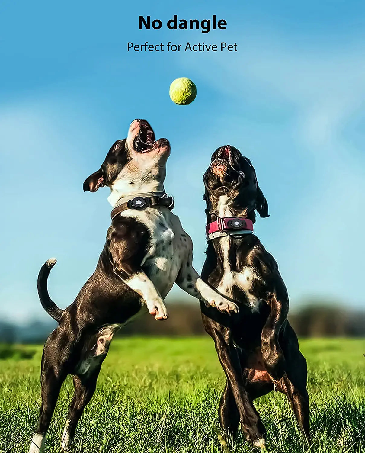 Airtag Holder Fit All Dog Collars Harness , Stouchi Innovative Style Protective Airtag Case with Pins Fixing Buckle for Iphone, Airtag Pet, Dog and Cat Airtag Mount Electronics > GPS Accessories > GPS Cases Stouchi