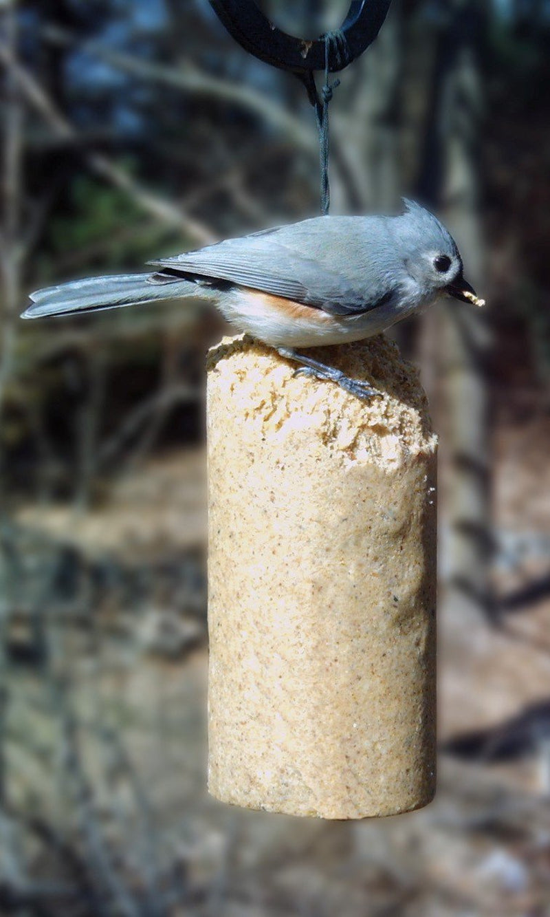 C&S Hot Pepper RTU No Melt Suet Dough Wild Bird Food, 1 Lb. Log Animals & Pet Supplies > Pet Supplies > Bird Supplies > Bird Food C AND S PRODUCTS COMPANY, INC.