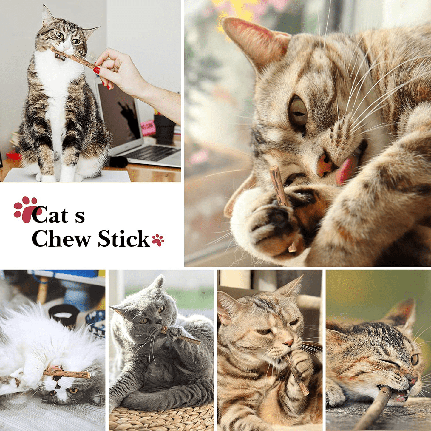 32 PCS Cat Toys Kitten Toys, Variety Catnip Toys with Rainbow Tunnel Interactive Cat Feather Teaser Fluffy Mouse Crinkle Balls Spring Toy Set for Cat, Kitty Animals & Pet Supplies > Pet Supplies > Cat Supplies > Cat Toys ANJIME