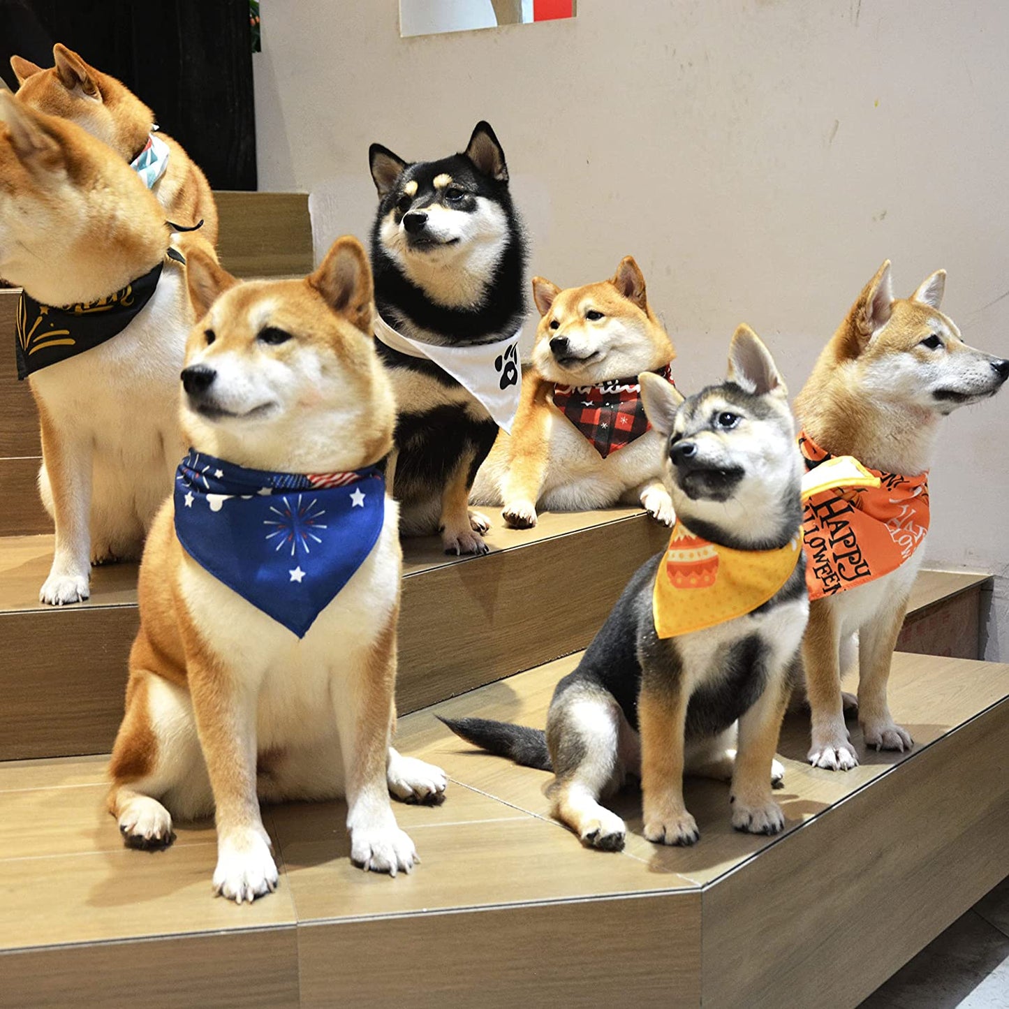 Yespet Dog 12 Pieces Holidays Pet Halloween Thanksgiving Bandanas for Medium Large Dogs Christmas Valentine'S Day Wedding Summer Pets Birthday Bandana Easter Independence St. Patrick'S Day Scarf Animals & Pet Supplies > Pet Supplies > Dog Supplies > Dog Apparel Yespet