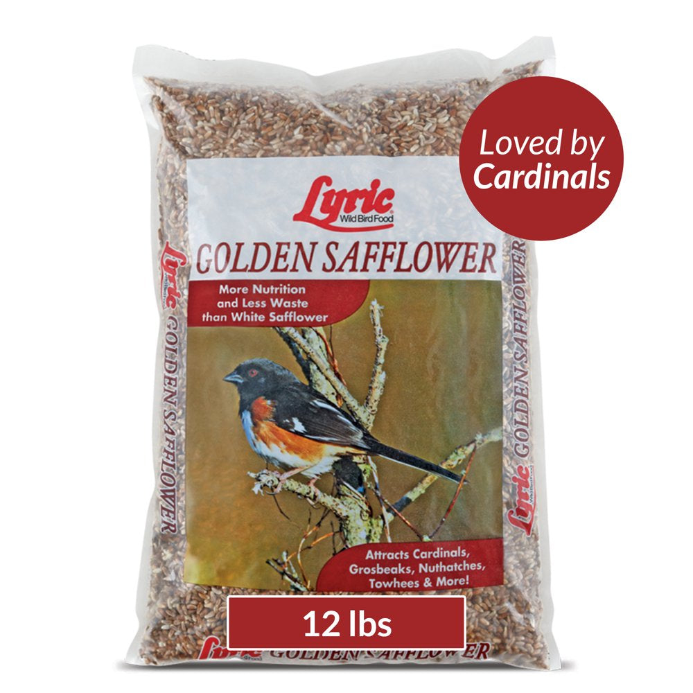 Lyric Golden Safflower Wild Bird Seed - Attracts Woodpeckers, Cardinals & Chickadees - 5 Lb Bag Animals & Pet Supplies > Pet Supplies > Bird Supplies > Bird Food Lebanon Seaboard Corporation 12 lbs