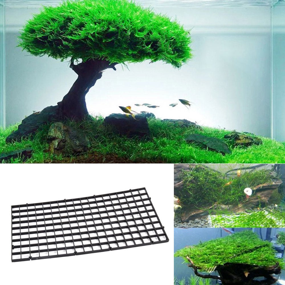 Aquarium Fish Tank Fry Screen Egg Net Crate Separate Divider Board Black Animals & Pet Supplies > Pet Supplies > Fish Supplies > Aquarium Fish Nets Unique-Bargains