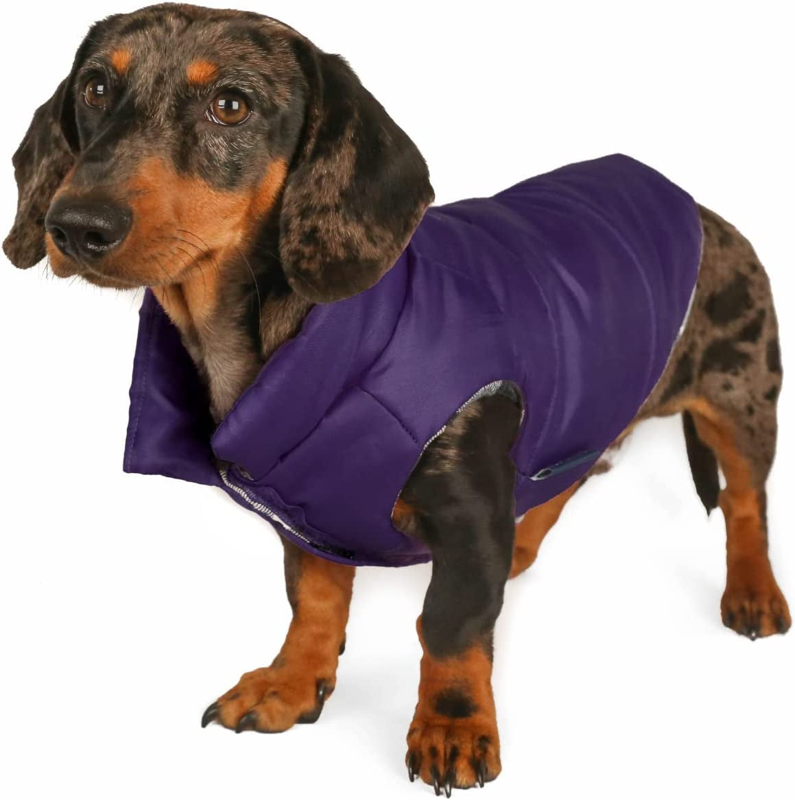 DJANGO Puffer Dog Jacket and Reversible Cold Weather Dog Coat—Water-Repellent and Adjustable Dog Jacket with Windproof Protection, Easy-Access Leash Portal, and Velcro Closure (Medium, Twilight Blue) Animals & Pet Supplies > Pet Supplies > Dog Supplies > Dog Apparel DJANGO Violet Purple Small