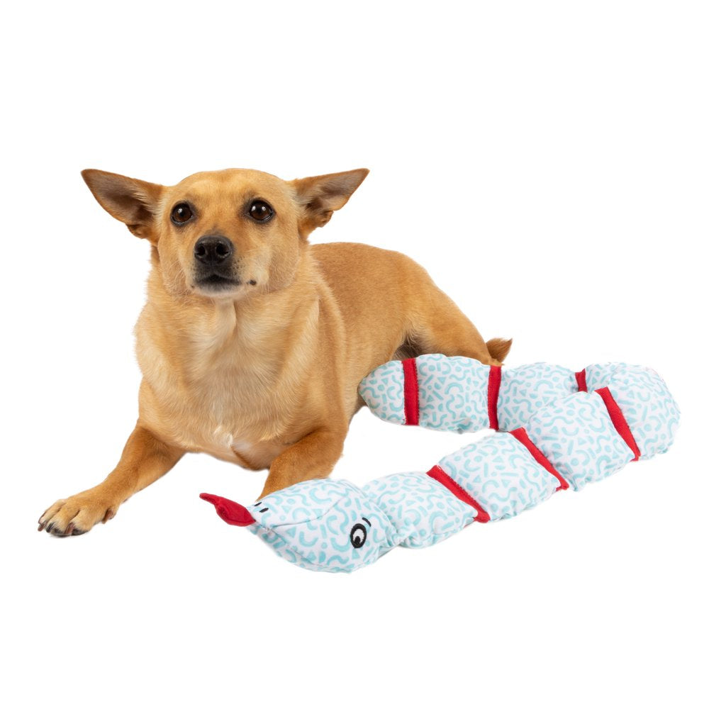 Vibrant Life Blue Snake Plush Dog Toy Animals & Pet Supplies > Pet Supplies > Dog Supplies > Dog Toys Mission Pets
