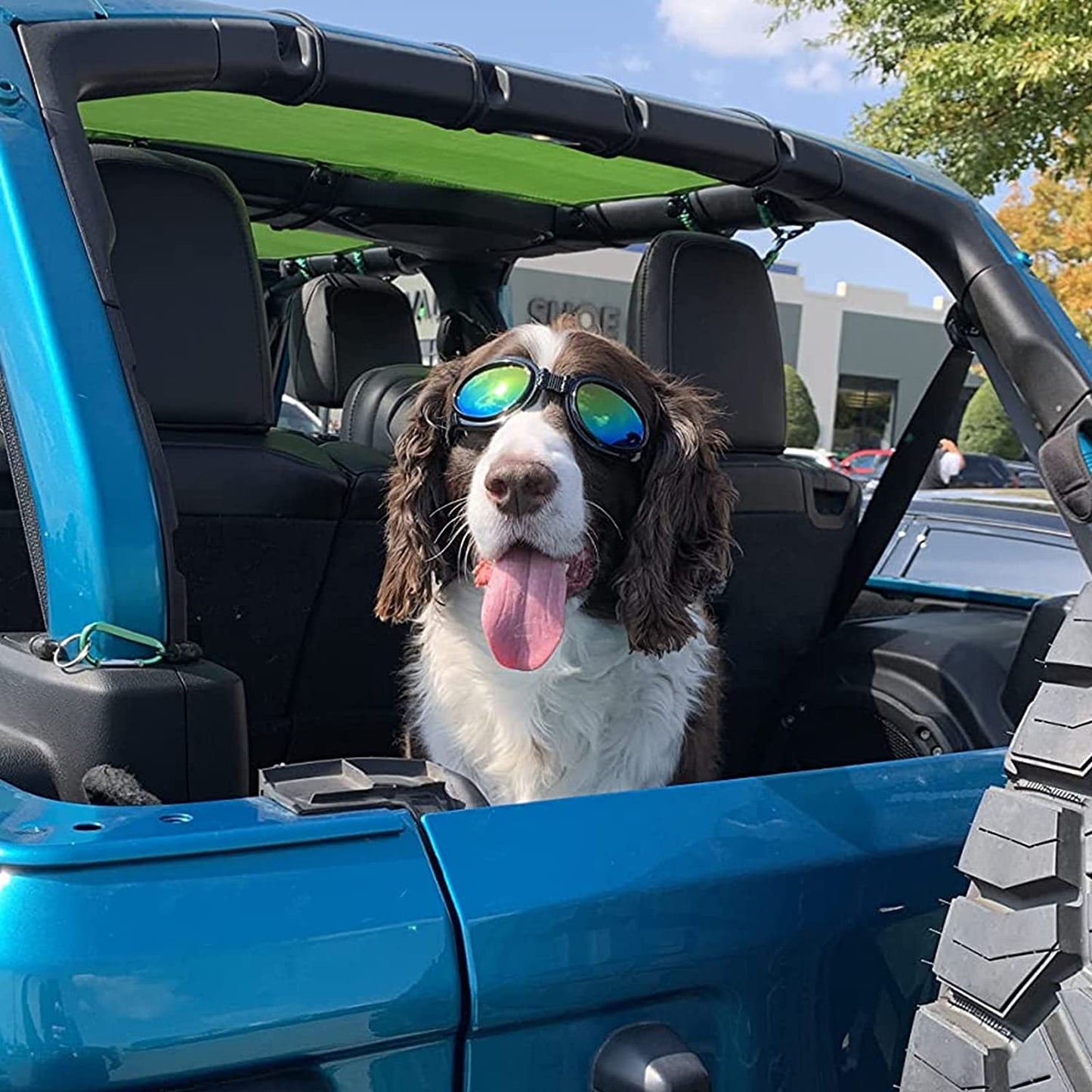 Jegtew Dog Sunglasses Dog Goggles, UV Protection Wind Protection Dust Protection Fog Protection Pet Glasses Eye Wear Protection with Adjustable Strap for Medium or Large Dog Animals & Pet Supplies > Pet Supplies > Dog Supplies > Dog Apparel Jegtew