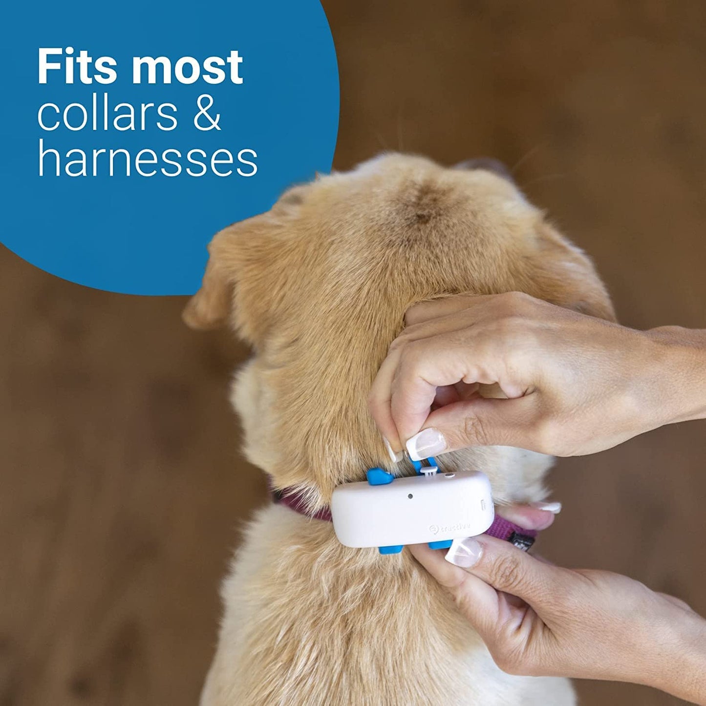 Tractive GPS Tracker for Dogs - Waterproof, GPS Location & Smart Pet Activity Tracker, Unlimited Range, Works with Any Collar (White) Animals & Pet Supplies > Pet Supplies > Dog Supplies > Dog Apparel Tractive GmbH