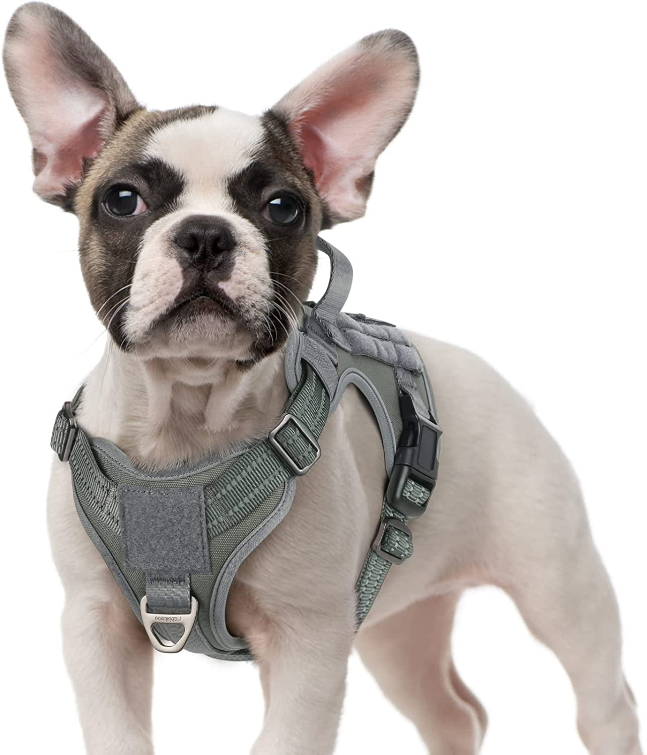 Rabbitgoo Tactical Dog Harness No Pull, Military Dog Vest Harness with Handle & Molle, Easy Control Service Dog Harness for Large Dogs Training Walking, Adjustable Reflective Pet Harness, Black, L Animals & Pet Supplies > Pet Supplies > Dog Supplies > Dog Apparel GLOBEGOU CO.,LTD Grey Small 