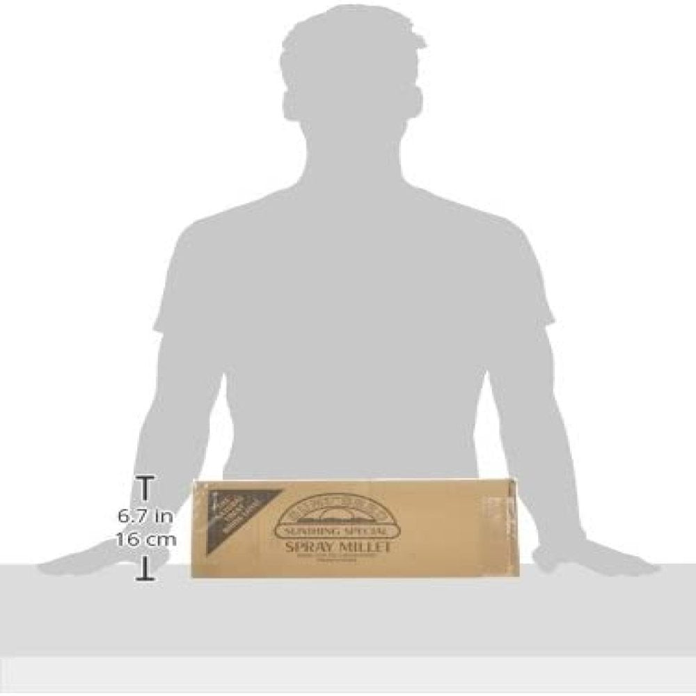 Codllyne Company Bss10911 Small Bird Millet Spray Treats, 5-Pound Animals & Pet Supplies > Pet Supplies > Bird Supplies > Bird Treats Codllyne