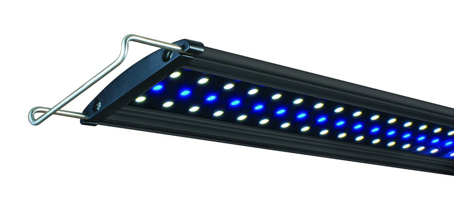 Lifegard Aquatics High Output Ultra Slim LED Aquarium Light, Blue/White, Marine, 30-Inch Animals & Pet Supplies > Pet Supplies > Fish Supplies > Aquarium Lighting Lifegard Aquatics