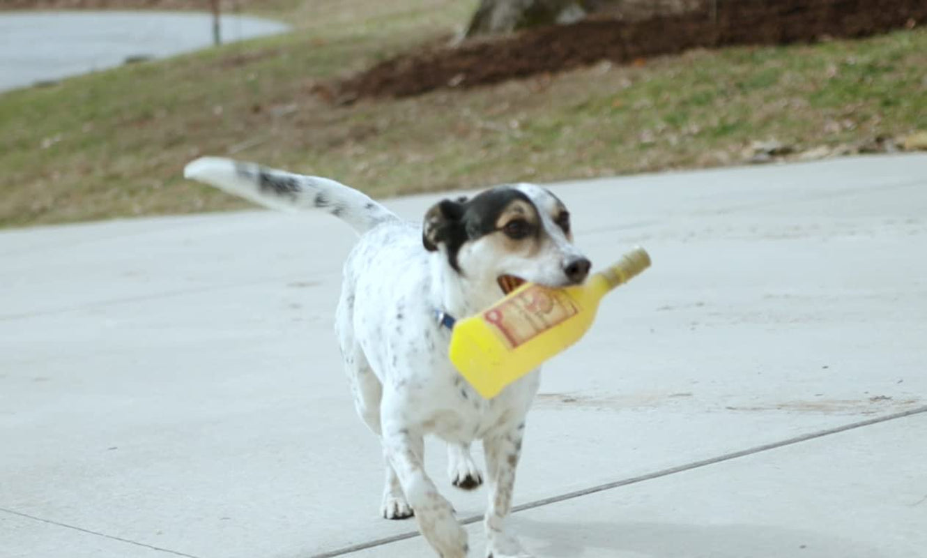 Silly Squeakers Jose Perro Durable Dog Squeaky Toy Animals & Pet Supplies > Pet Supplies > Dog Supplies > Dog Toys VIP Products