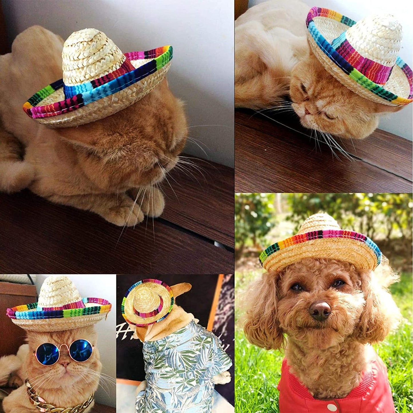 Dog Hat, Mini Sombrero Mexican Hats, Classic Retro Pet Sunglasses and Adjustable Pet Chain, Pet Photo Suit, Pet Supplies for Small Dog and Cat(Straw Hat) Animals & Pet Supplies > Pet Supplies > Dog Supplies > Dog Apparel FT HITA