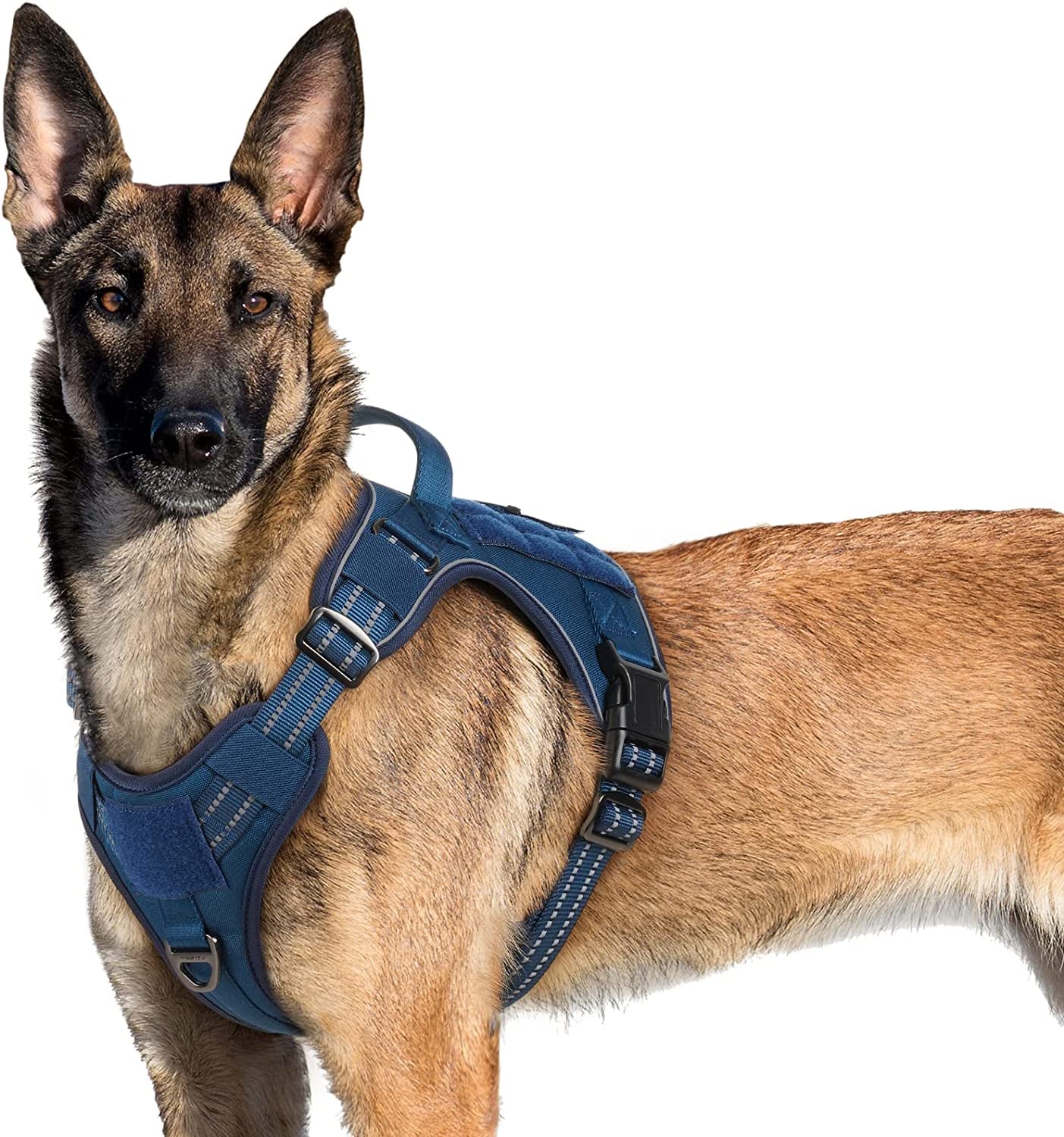 Rabbitgoo Tactical Dog Harness No Pull, Military Dog Vest Harness with Handle & Molle, Easy Control Service Dog Harness for Large Dogs Training Walking, Adjustable Reflective Pet Harness, Black, L Animals & Pet Supplies > Pet Supplies > Dog Supplies > Dog Apparel GLOBEGOU CO.,LTD Blue X-Large 