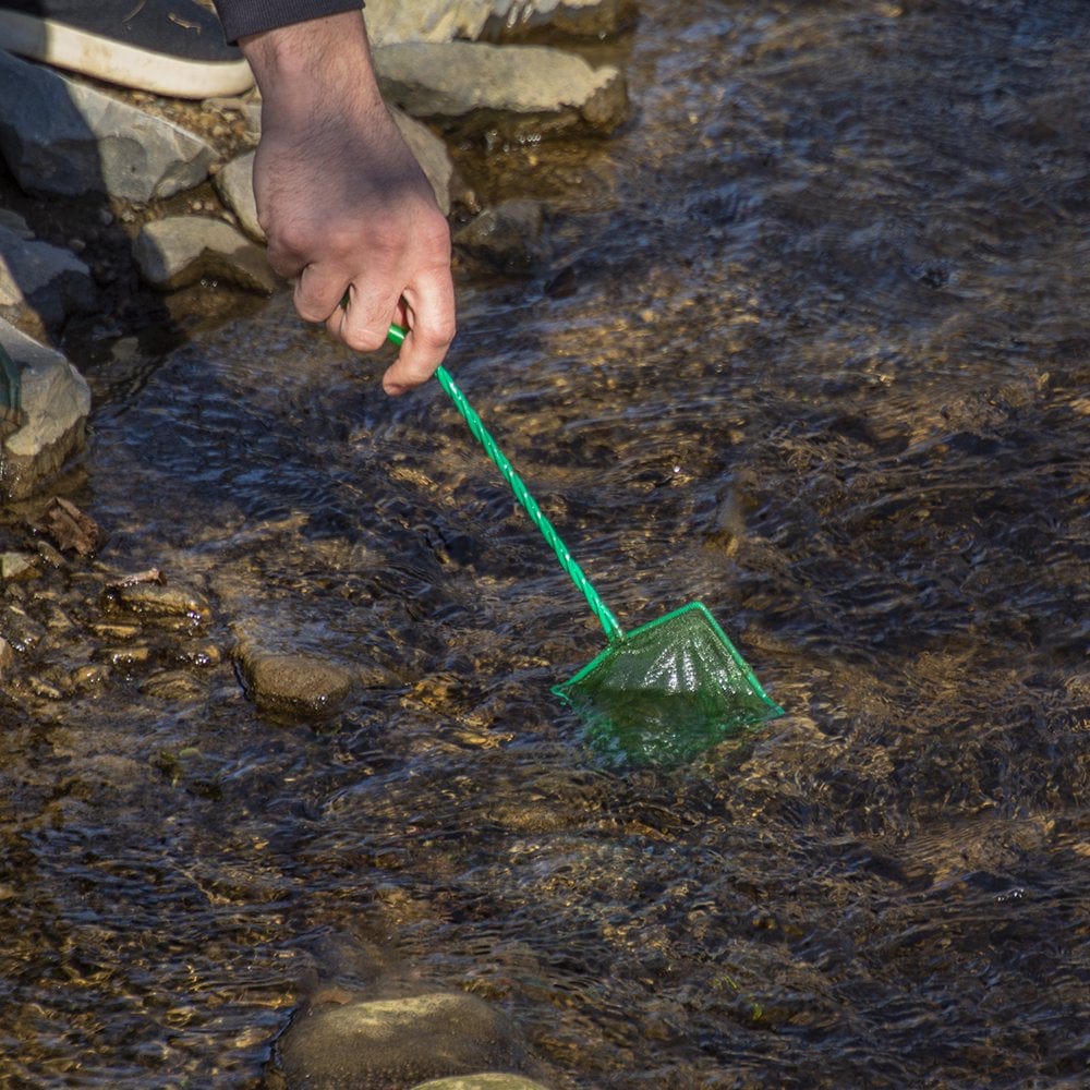 4" Handheld Fish Minnow Catching Small Mesh Net Aquarium Tank Skimmer Maintenance Cleaner Tool Animals & Pet Supplies > Pet Supplies > Fish Supplies > Aquarium Fish Nets Treasure Gurus