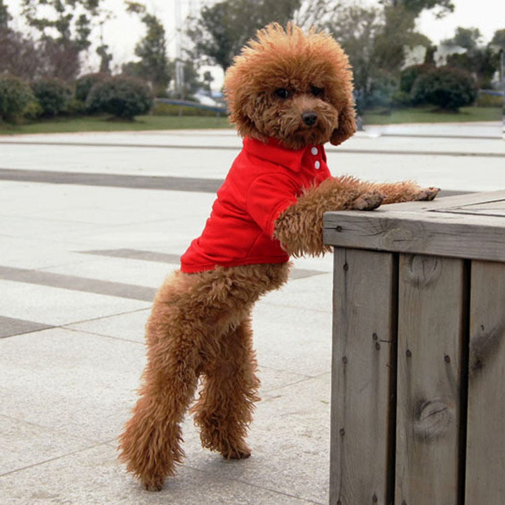 4 Pack Dog Shirts Pet Puppy T-Shirt Clothes Outfit Apparel Coats Tops for Small Medium Large Dogs Cats Animals & Pet Supplies > Pet Supplies > Cat Supplies > Cat Apparel Ofspeizc