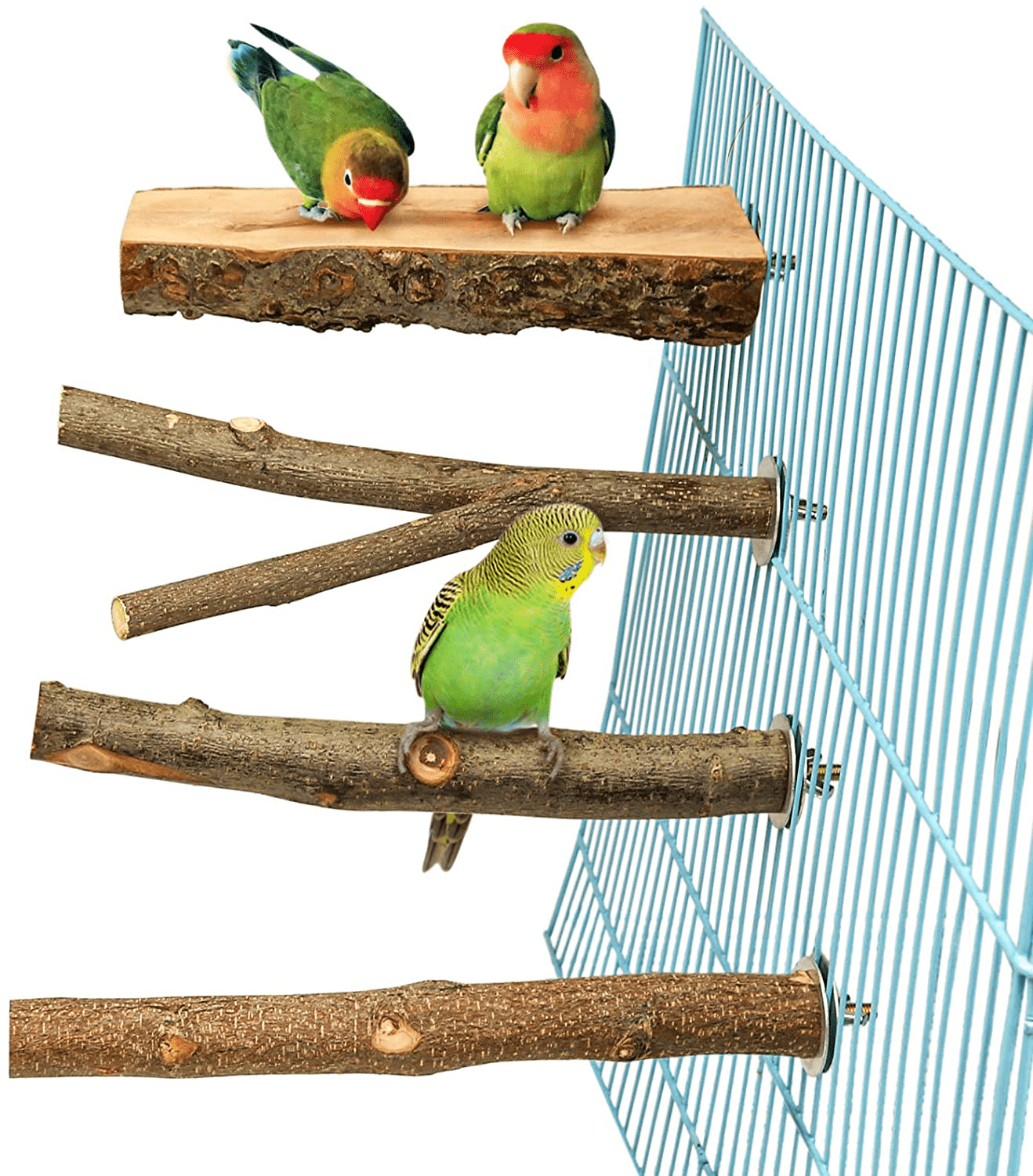 4 Pack Natural Wood Bird Perch for Bird Cages,Parrot Stand Perch Platf –  KOL PET