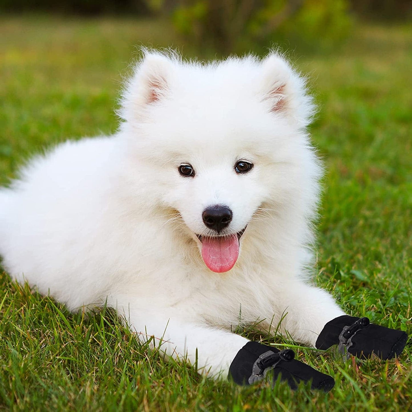 4 Sets 16 Pieces Waterproof Dog Shoes Dog Snow Boots Dog Paw Protectors Dog Winter Boots Anti-Slip Dog Sock Shoes with Adjustable Drawstring for Dogs Pets (Medium) Animals & Pet Supplies > Pet Supplies > Dog Supplies > Dog Apparel Weewooday