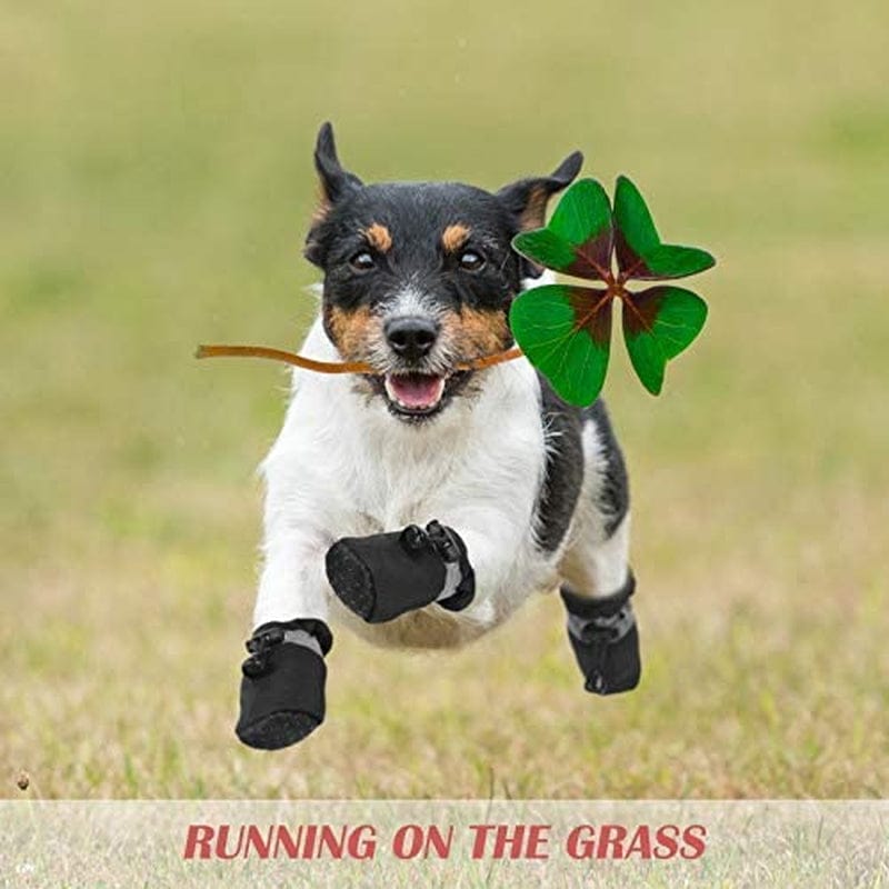 4 Sets Waterproof Dog Shoes Adjustable Drawstring Rain Snow Dog Booties Anti-Slip Paw Protector Soft Soled Dog Sock Shoes (M: 1.48 X 1.3In(Lw) Animals & Pet Supplies > Pet Supplies > Dog Supplies > Dog Apparel Weewooday