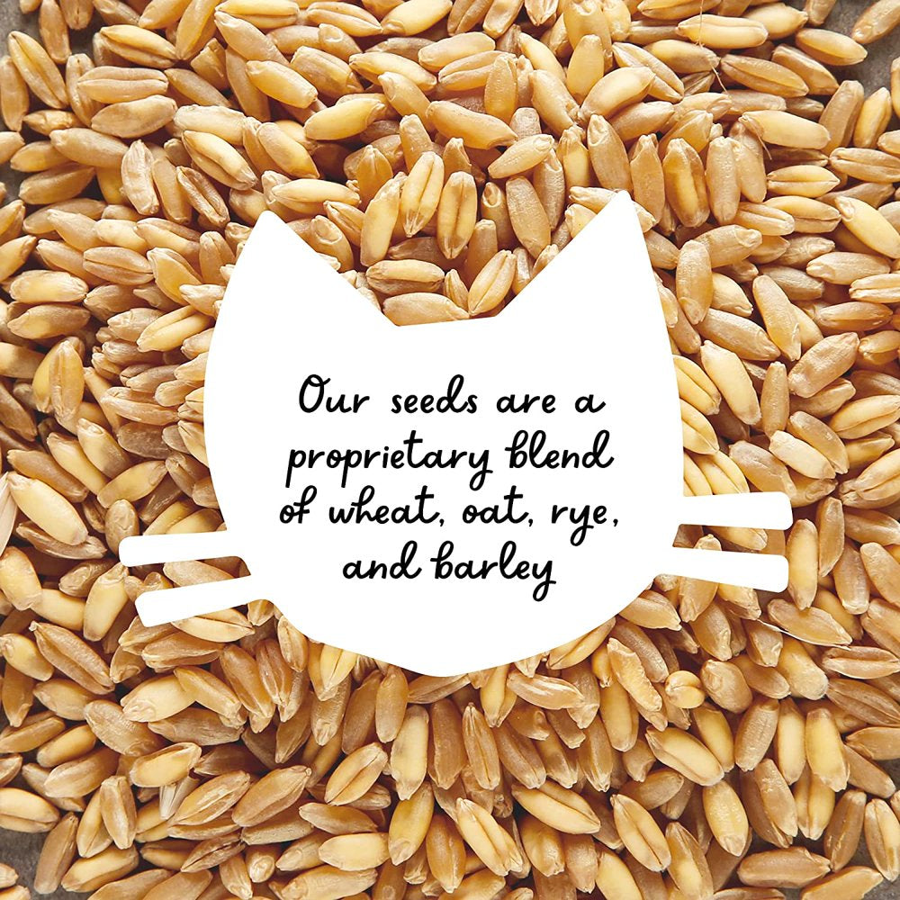 The Cat Ladies Cat Grass Refill Kit, 100% Organic, Non-Gmo Seeds and Natural Hairball Control, 3 Pack Animals & Pet Supplies > Pet Supplies > Cat Supplies > Cat Treats The Cat Ladies