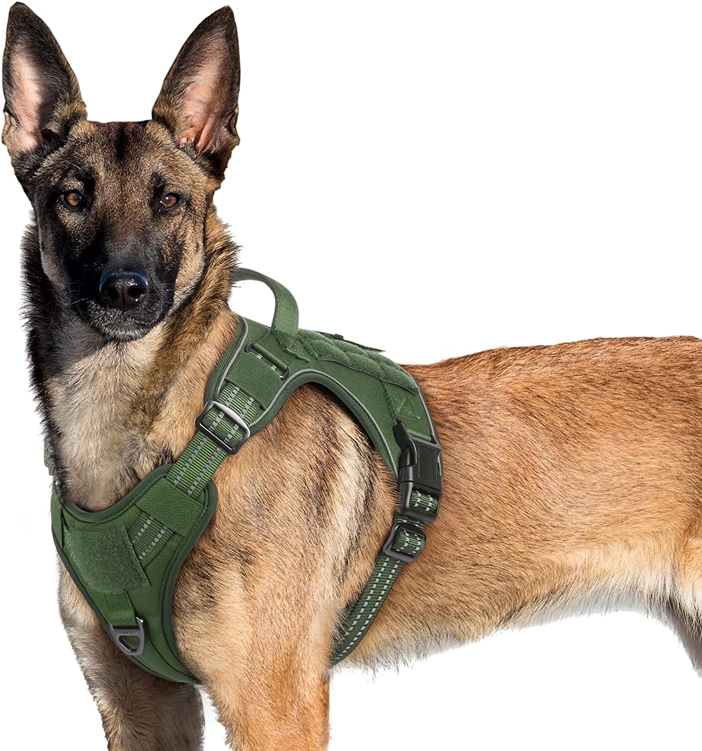 Rabbitgoo Tactical Dog Harness No Pull, Military Dog Vest Harness with Handle & Molle, Easy Control Service Dog Harness for Large Dogs Training Walking, Adjustable Reflective Pet Harness, Black, L Animals & Pet Supplies > Pet Supplies > Dog Supplies > Dog Apparel GLOBEGOU CO.,LTD Green X-Large 