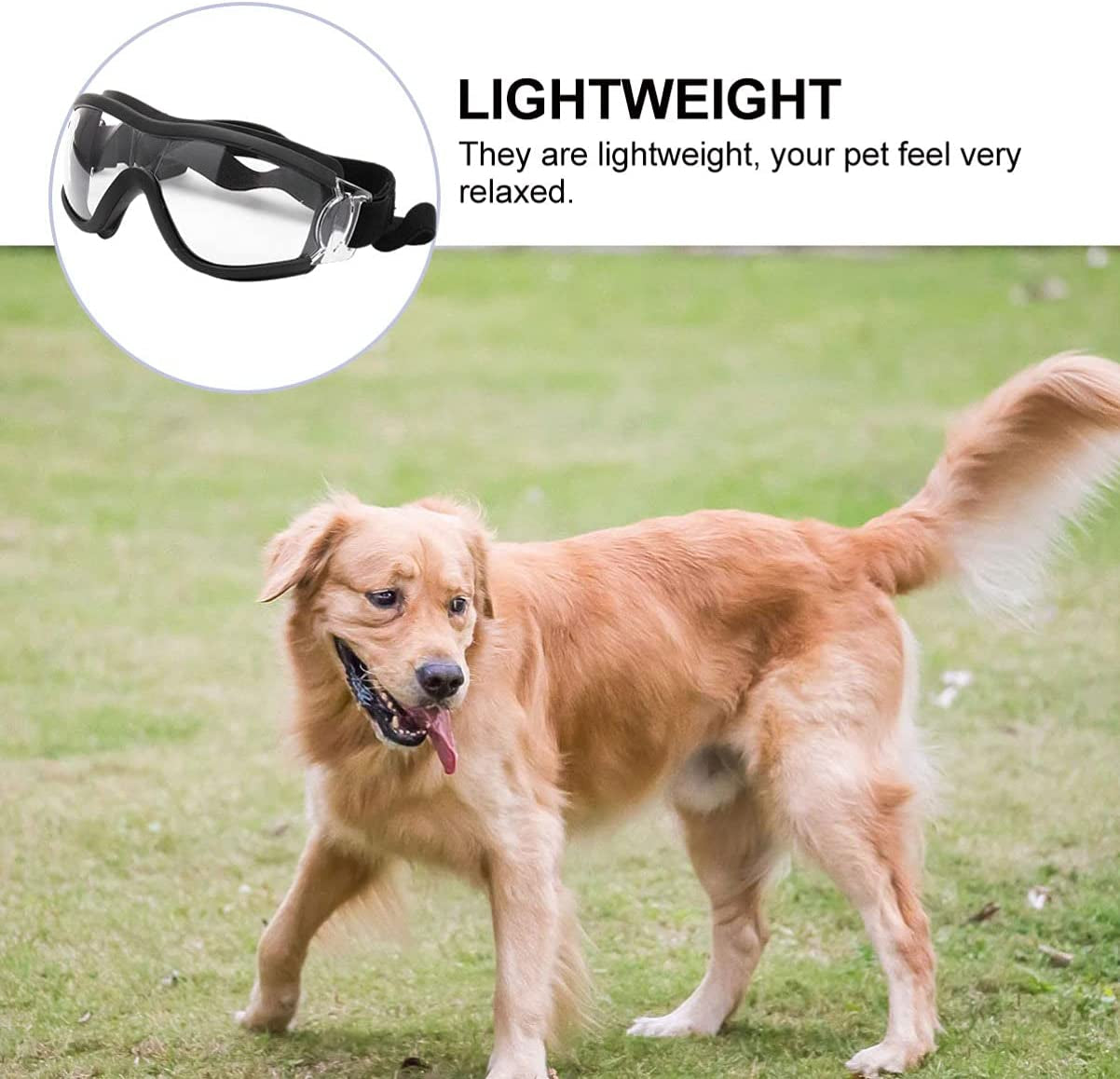 TEHAUX Dog Goggles Dog Sunglasses Snowproof Windproof Dog Glasses Pet Goggles Dog Eye Protection Goggles with Adjustable Strap Sunglasses for Medium Large Dogs (Transparent) Animals & Pet Supplies > Pet Supplies > Dog Supplies > Dog Apparel TEHAUX