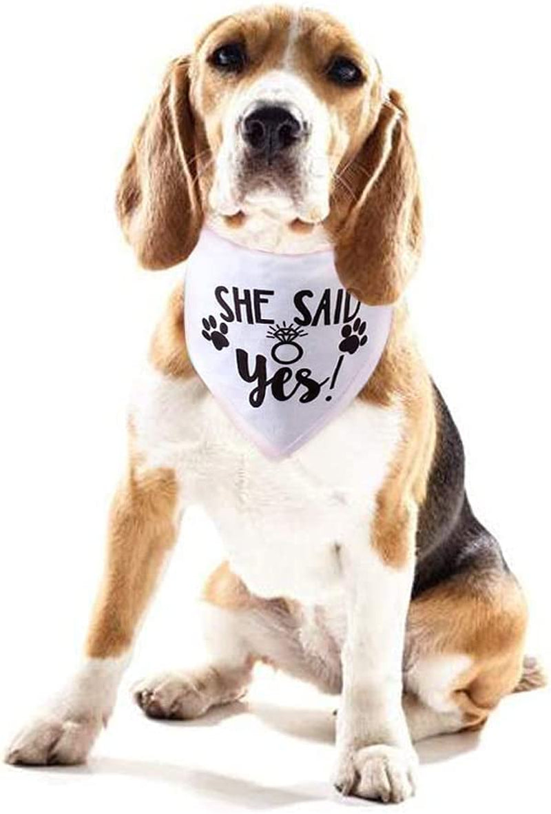 HDGDT She Said Yes Dog Bandana, Wedding Dog Bandana, Dog Engagement Announcement, Wedding Photo Prop, Pet Scarf, Petphoto Prop, Pet Scarf, Pet Accessories Animals & Pet Supplies > Pet Supplies > Dog Supplies > Dog Apparel MY